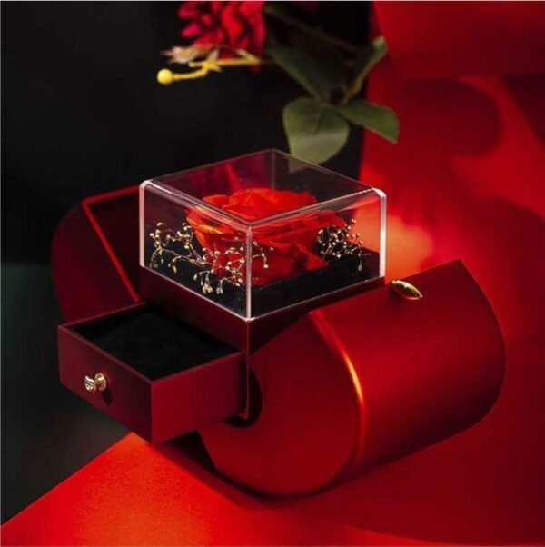 Fashion Jewelry Box - Image 10